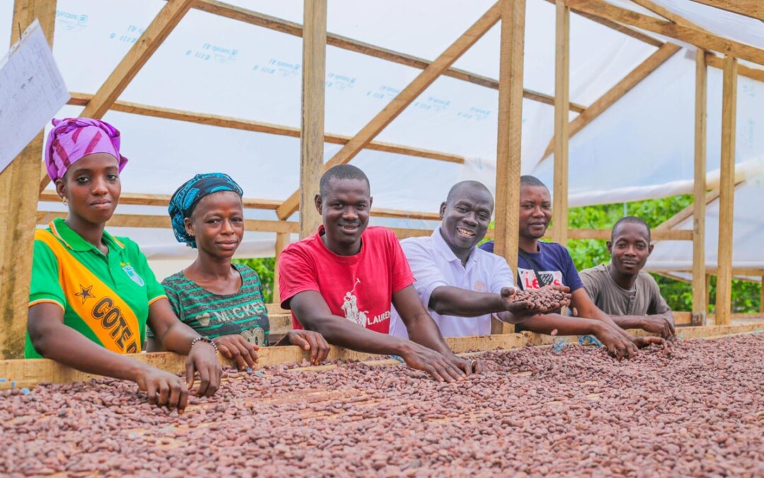 Vérification des fèves de cacao durable par des collaborateurs heureux au centre Dolfin